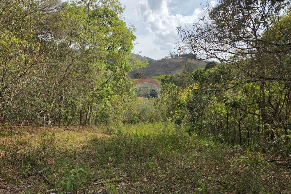 Terreno - Venda - Camanducaia , Minas Gerais - 20250919_144500.jpg - 690041041-51