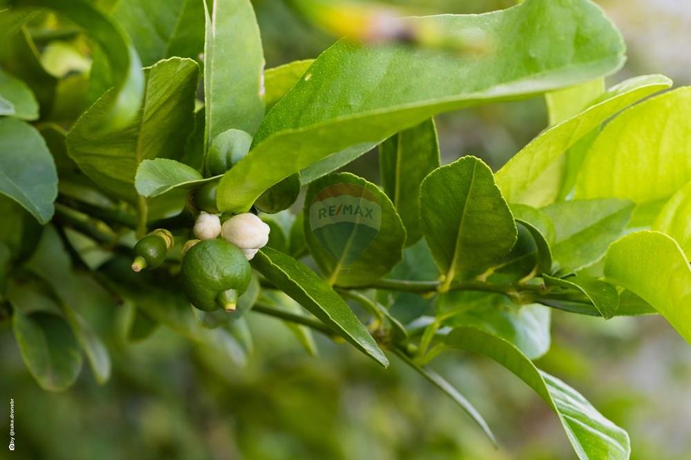 Casa de Condomínio - Venda - Itatiba , São Paulo - TKD-14350.jpg - 690661013-269