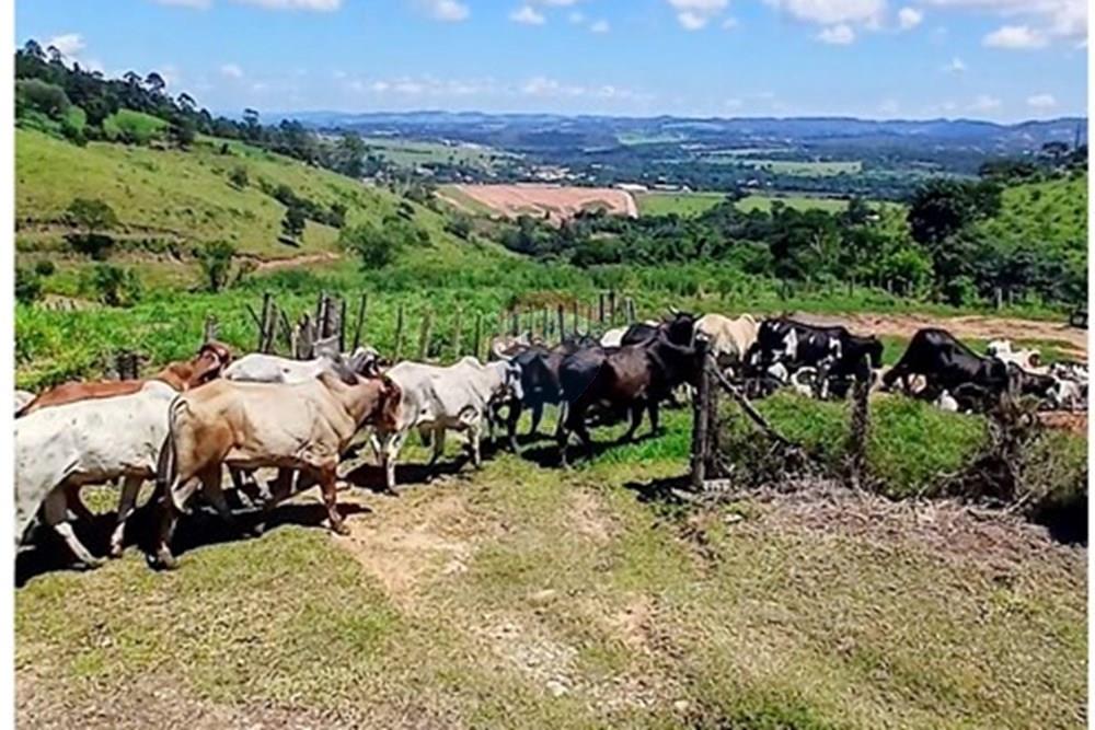 Chácara / Sítio / Fazenda - Venda - Bragança Paulista , São Paulo - Screenshot_20260224_150406_Photos~2.jpg - 690141085-32
