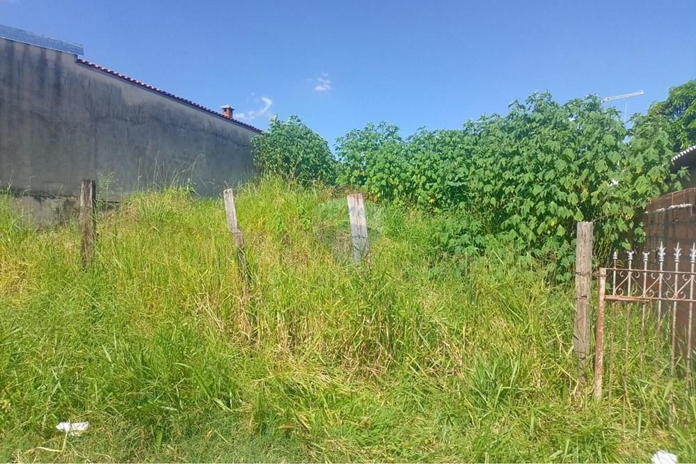 Terreno - Venda - Mogi Mirim , São Paulo - WhatsApp Image 2026-03-04 at 23.28.48.jpeg - 690751108-20