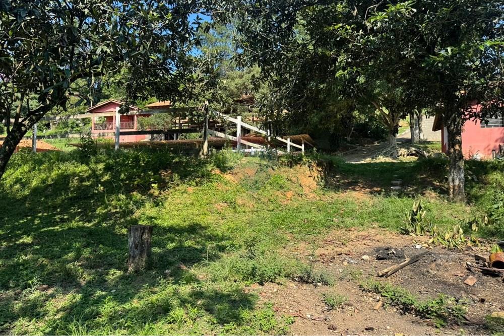 Chácara / Sítio / Fazenda - Venda - Santana de Parnaíba , São Paulo - WhatsApp Image 2026-01-14 at 10.52.27 (1).jpeg - 690951047-10
