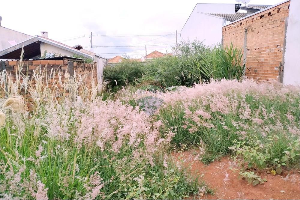 Terreno - Venda - Itapira , São Paulo - 1766266243080.jpg - 690291069-12