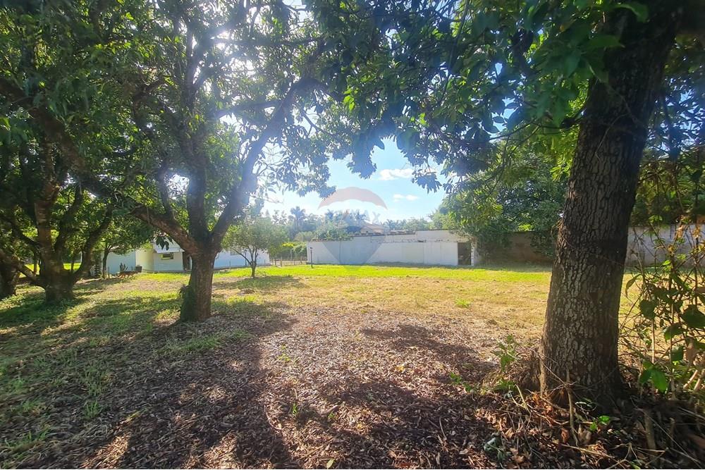 Agro - Alugar - Artur Nogueira , São Paulo - 20251120_160220.jpg - 690671009-93