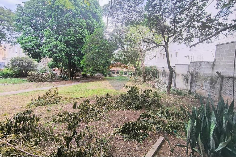 Terreno - Alugar - Campinas , São Paulo - WhatsApp Image 2025-06-30 at 16.57.03 (4).jpeg - 690681149-54