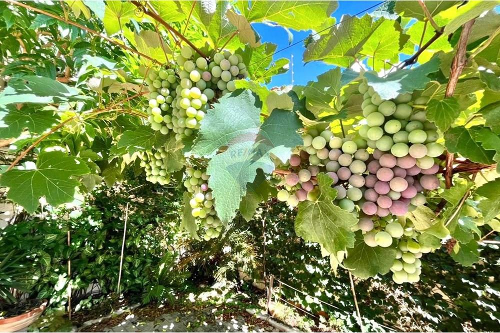 Casa - Alugar - Rio Claro , São Paulo - WhatsApp Image 2025-12-11 at 18.41.44 (3).jpeg - 690811038-67