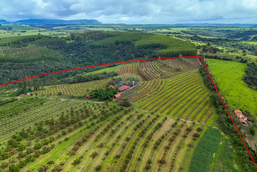 Fazenda - Venda - Analândia , São Paulo - Tratada - Drone-14.jpg - 690691016-305