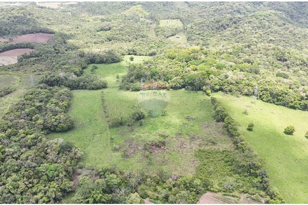 Fazenda - Venda - Pariquera-Açu , São Paulo - WhatsApp Image 2026-03-18 at 16.42.14 (4).jpeg - 690061038-24