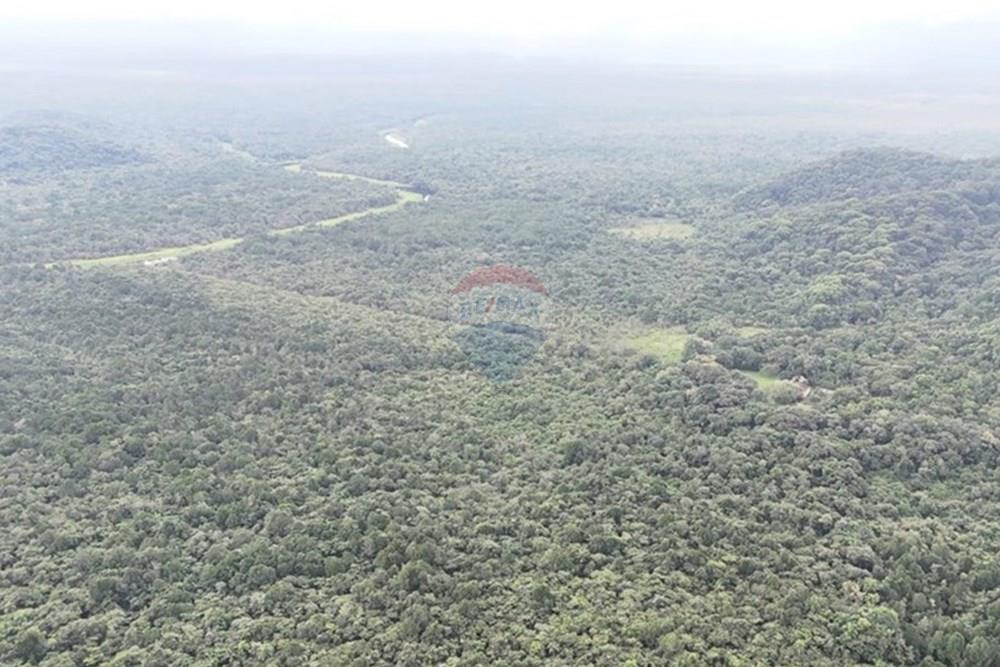 Fazenda - Venda - Iguape , São Paulo - WhatsApp Image 2025-08-11 at 16.22.17 (2).jpeg - 690061038-13