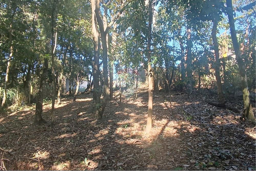 Terreno - Venda - Jaguariúna , São Paulo - 22.JPG - 690671070-9