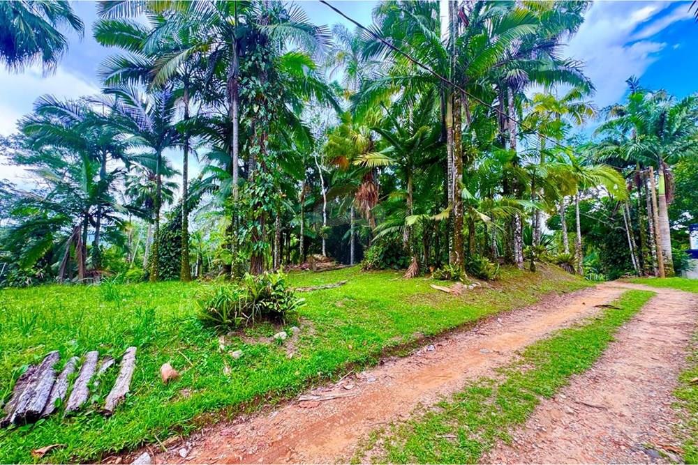 Terreno - Venda - Peruíbe , São Paulo - WhatsApp Image 2026-01-15 at 14.40.38 (1).jpeg - 691111009-61