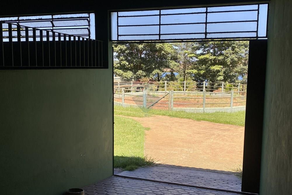 Fazenda - Venda - Piraju , São Paulo - IMG_7335.jpg - 690061038-29