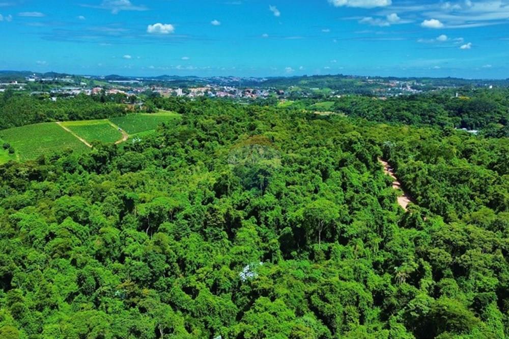 Chácara / Sítio / Fazenda - Venda - Jundiaí , São Paulo - dji_fly_20260108_205854_145_1767909890877_photo_optimized.jpg - 690051060-63