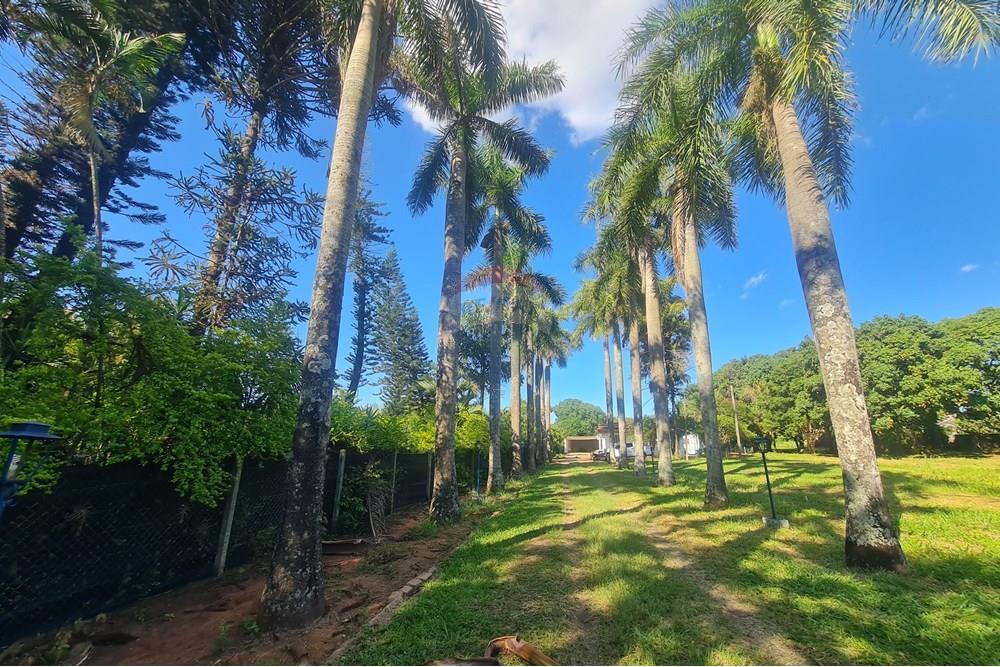 Agro - Alugar - Artur Nogueira , São Paulo - 20251120_155419.jpg - 690671009-93