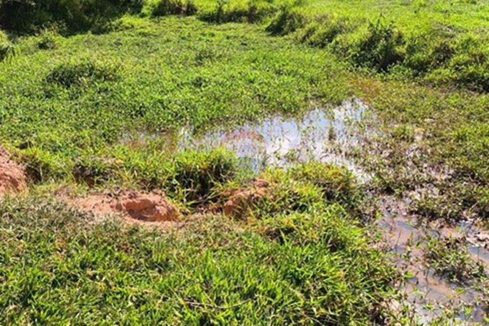 Chácara / Sítio / Fazenda - Venda - Morungaba , São Paulo - WhatsApp Image 2026-03-05 at 17.26.17.jpeg - 691131002-3