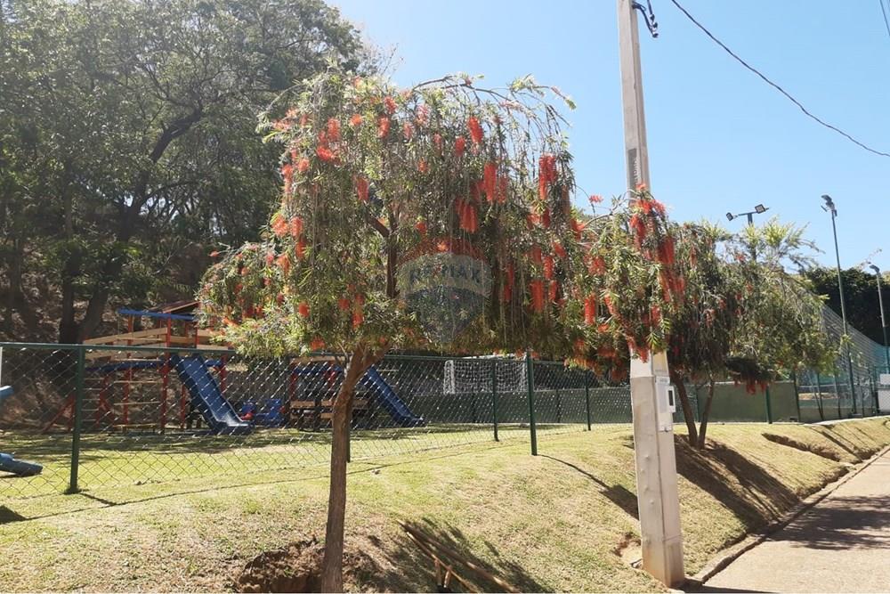Casa - Alugar - Vinhedo , São Paulo - 1808c59c-3367-439e-a456-6dc6650ae3af.jpg - 690851008-595