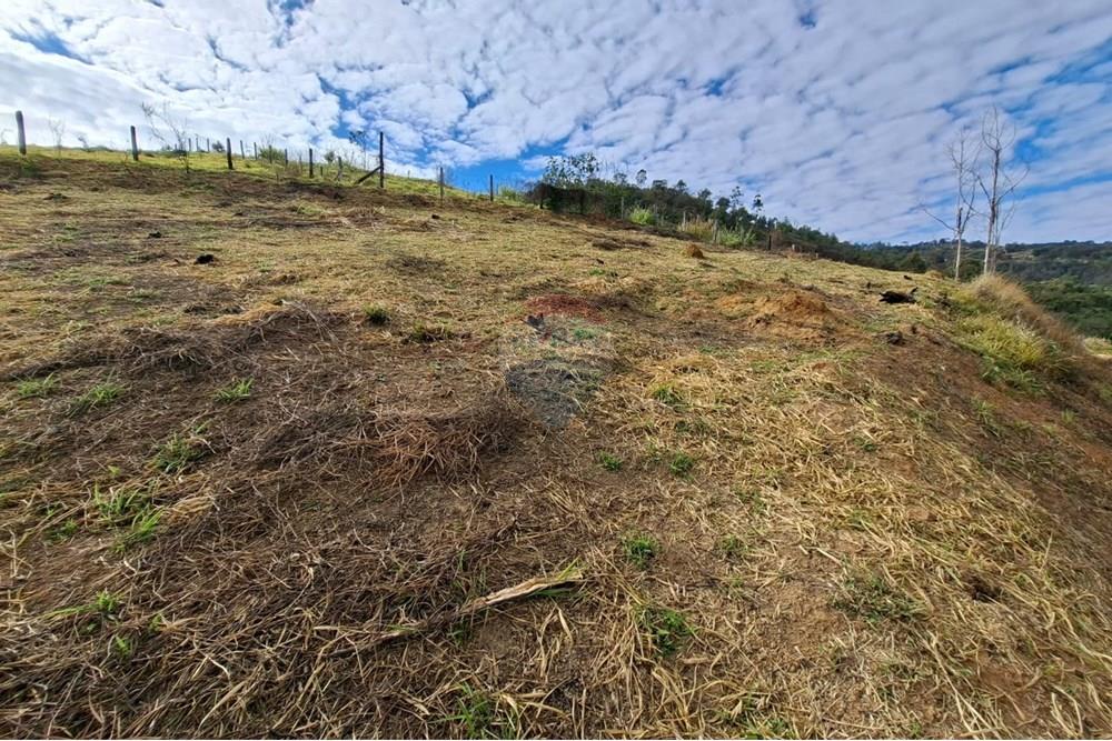 Terreno - Venda - Socorro , São Paulo - 32a767a6-0791-4282-9641-4608db7d0713.jpeg - 690041146-29