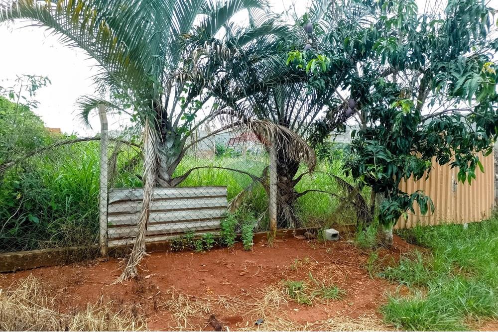 Chácara / Sítio / Fazenda - Venda - Cosmópolis , São Paulo - chácara 15.jpg - Fachada - 690831047-333