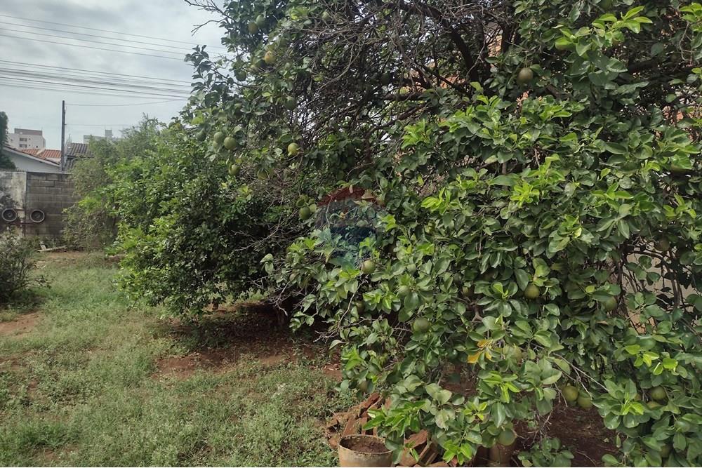 Terreno - Venda - Cosmópolis , São Paulo - 07.jpg - 690831004-213