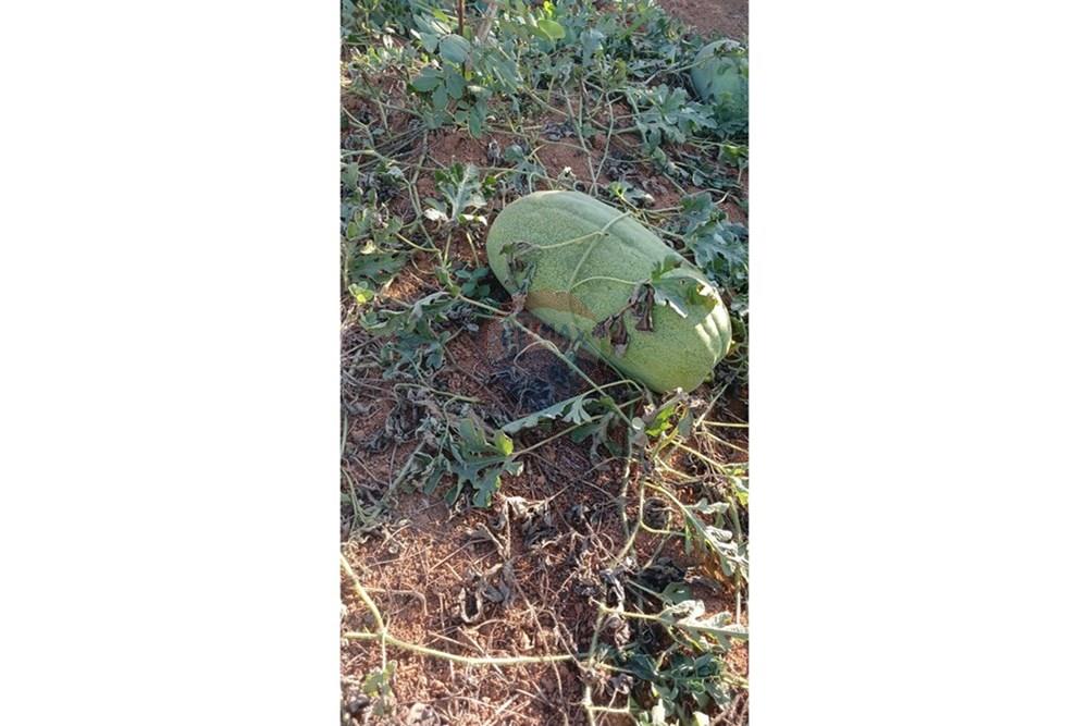 Fazenda - Venda - Campestre , Minas Gerais - 4f8e97ba-0f19-4b12-b7c5-eb899abba00d.jpg - 690291077-293