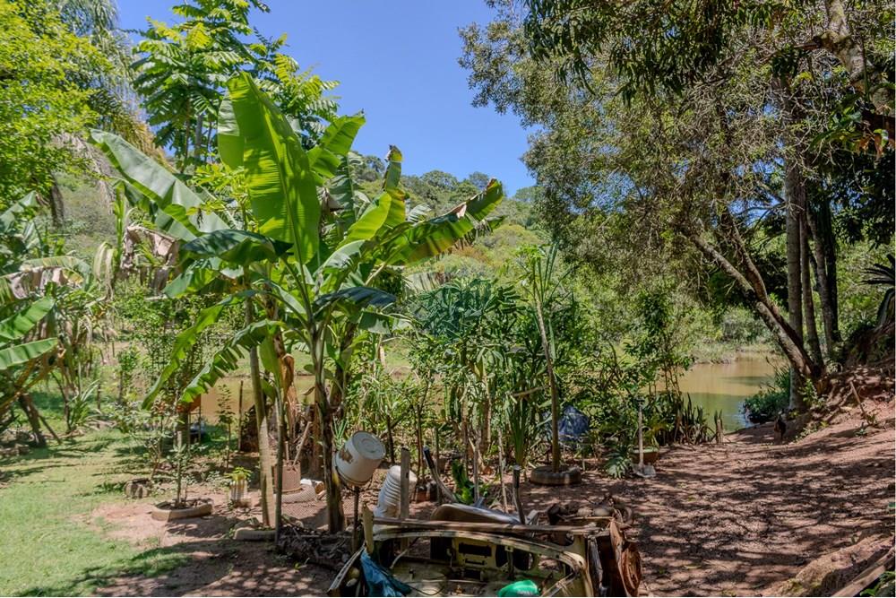 Chácara / Sítio / Fazenda - Venda - Jarinu , São Paulo - RINf-047.jpg - 690921112-9