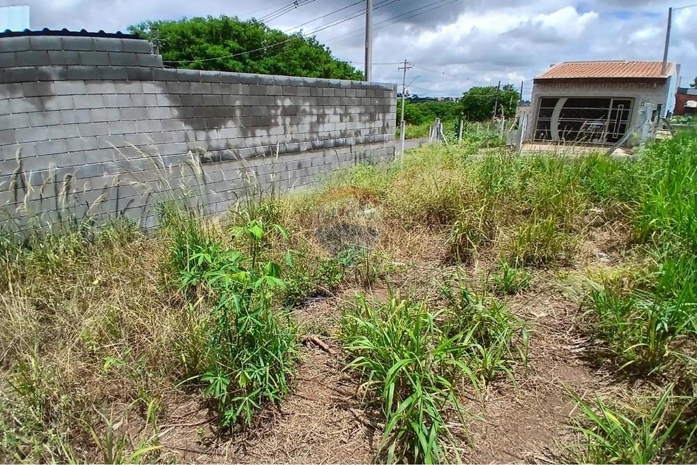 Terreno - Venda - Americana , São Paulo - 20260226_124552.jpg - 691071037-3
