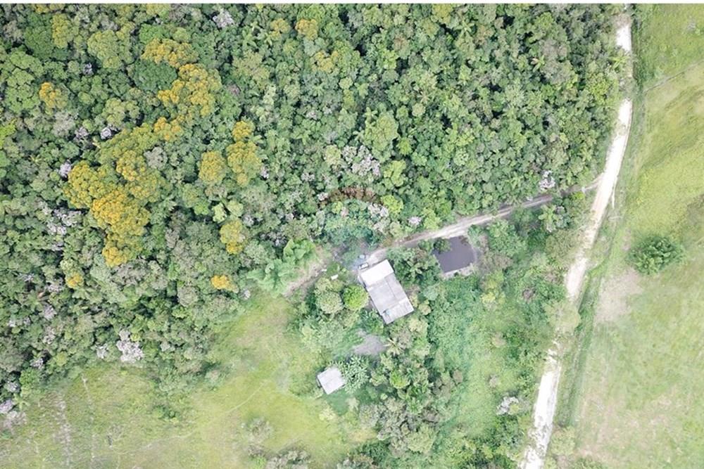 Fazenda - Venda - Sete Barras , São Paulo - D180F0EC54D9680B79DD81CFA5077D89.jpg - 690061038-19