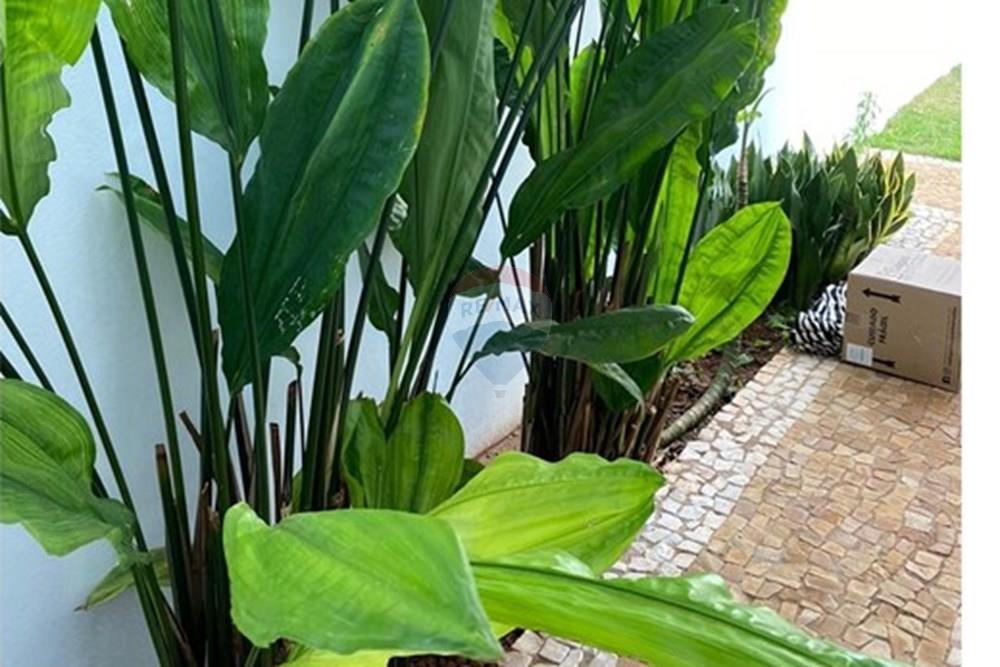 Casa - Alugar - Paulínia , São Paulo - Imagem do WhatsApp de 2025-09-18 à(s) 17.19.40_76271e17.jpg - 690511140-57