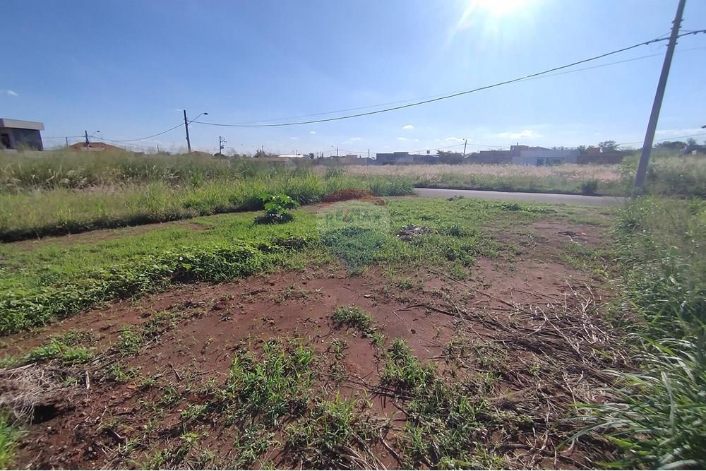 Terreno - Venda - Mogi Guaçu , São Paulo - IMG_20250430_153344.jpg - 690521005-80