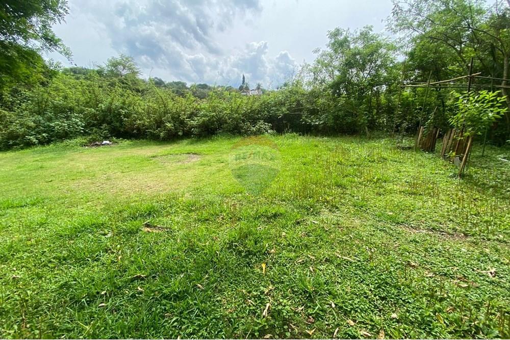 Chácara / Sítio / Fazenda - Venda - Mairiporã , São Paulo - d57fba8f-9d1f-4443-ad72-c3480001d359.jpeg - 690041107-26