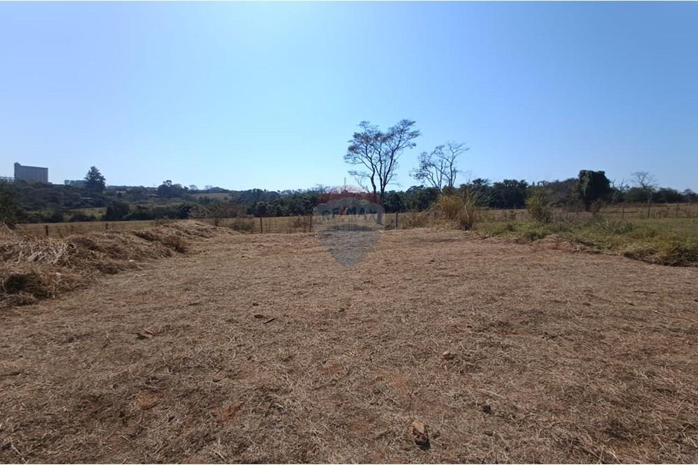 Terreno - Venda - Mogi Guaçu , São Paulo - WhatsApp Image 2025-07-22 at 11.32.25.jpeg - Quintal - 690521005-197