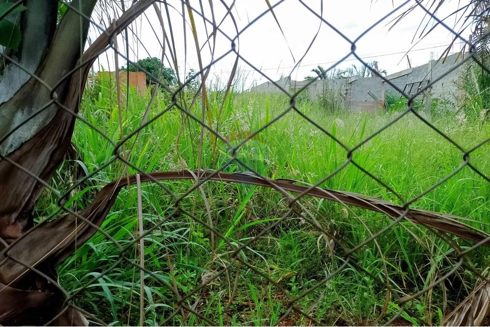 Chácara / Sítio / Fazenda - Venda - Cosmópolis , São Paulo - chácara 8(1).jpg - Fachada - 690831047-333