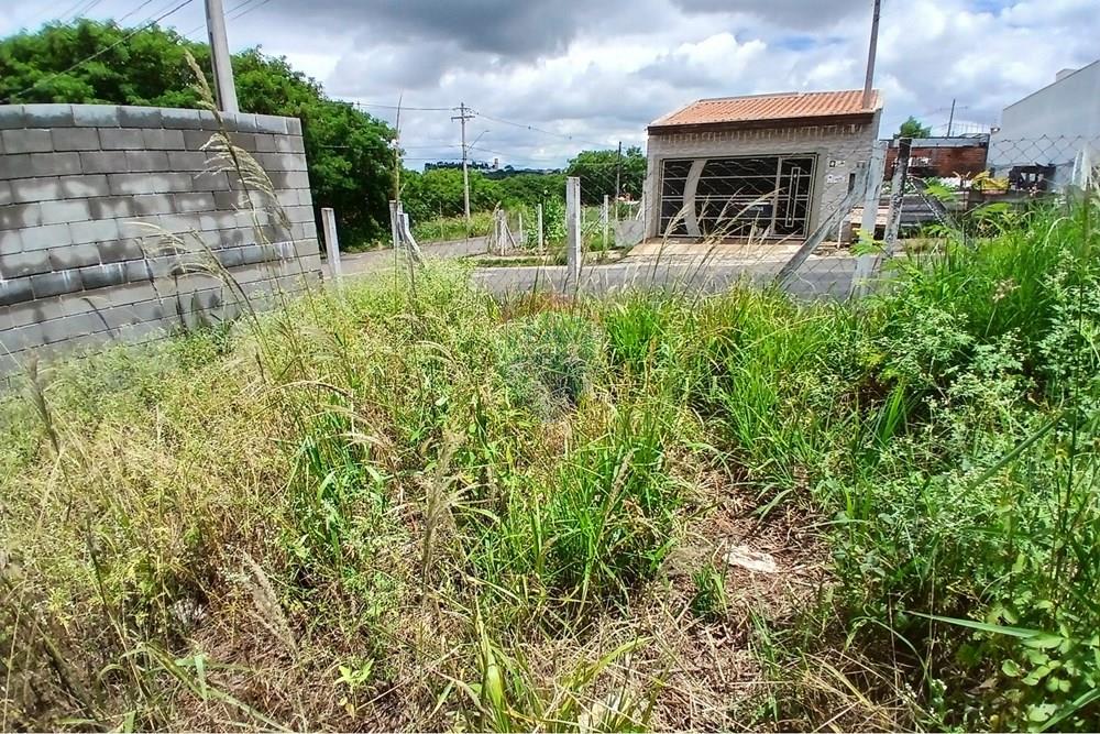 Terreno - Venda - Americana , São Paulo - 20260226_124603.jpg - 691071037-3