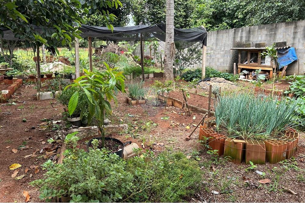 Chácara / Sítio / Fazenda - Venda - Sumaré , São Paulo - IMG_2451(1).JPG - 690641010-575