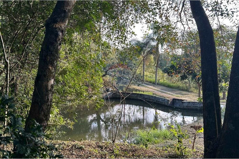 Chácara / Sítio / Fazenda - Venda - Atibaia , São Paulo - WhatsApp Image 2025-07-18 at 14.42.56 (7).jpeg - 690661027-125