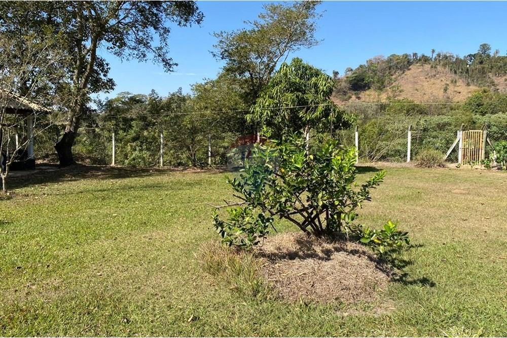 Chácara / Sítio / Fazenda - Venda - Jacutinga , Minas Gerais - WhatsApp Image 2025-08-06 at 14.30.47 (1).jpeg - 690291077-290
