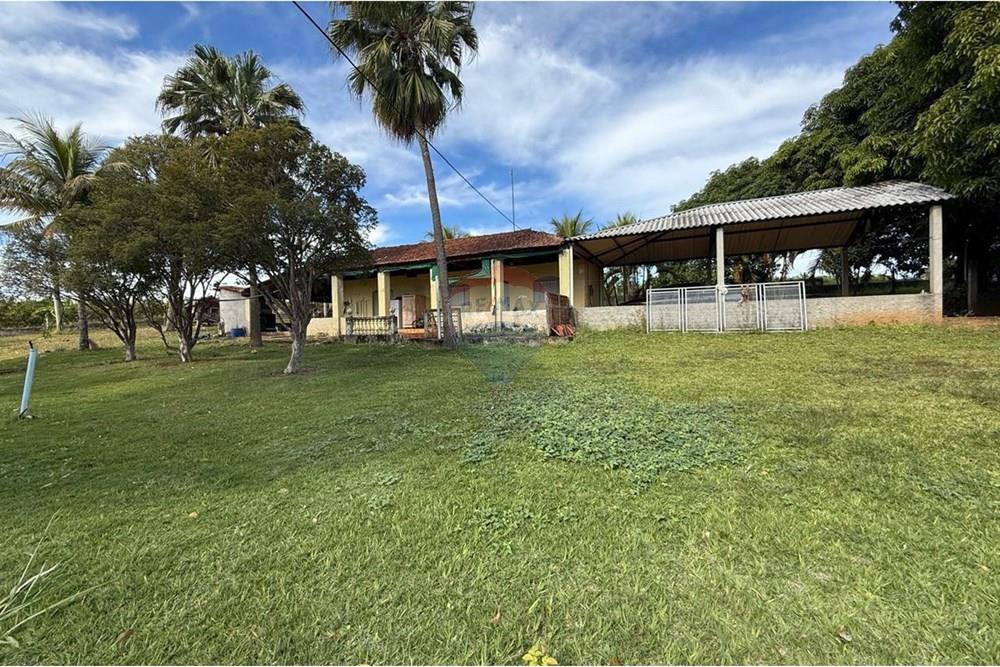 Chácara / Sítio / Fazenda - Venda - Itapira , São Paulo - WhatsApp Image 2025-07-07 at 10.48.40.jpeg - Quintal - 690521014-143