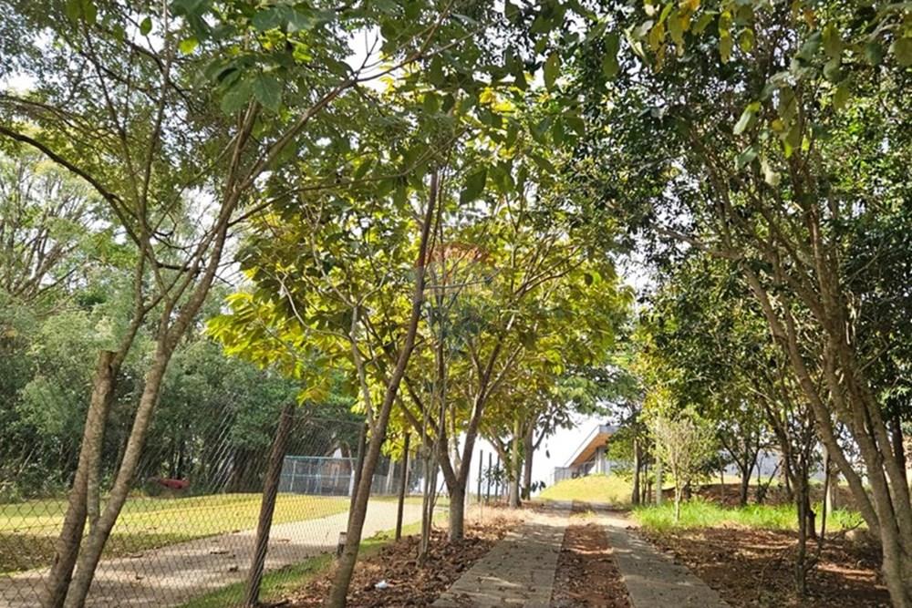 Terreno - Venda - Bragança Paulista , São Paulo - WhatsApp Image 2025-08-08 at 12.52.39.jpeg - 690041140-51