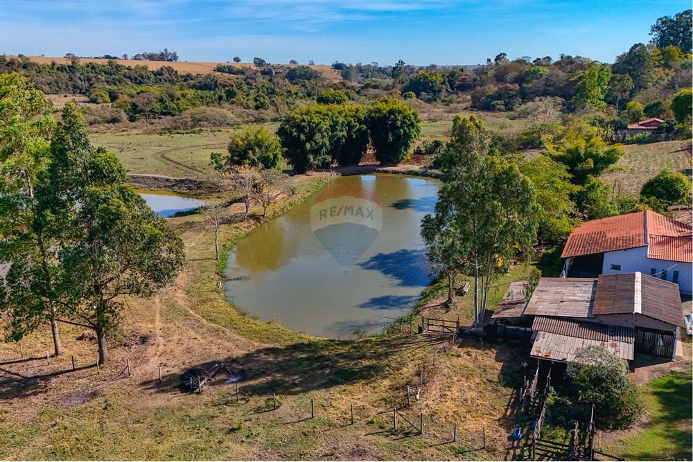 Chácara / Sítio / Fazenda - Venda - Santa Cruz da Conceição , São Paulo - Tratada-33.jpg - 690481001-177