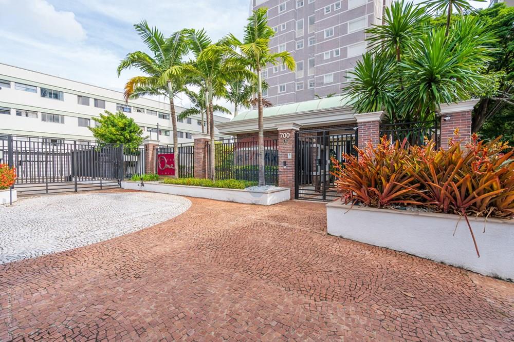 Duplex - Venda - Campinas , São Paulo - EDI01323EDIVO FURTADO SILVA - RG98002306022 SSPCE - THE ONE - MARA MURBACH.jpg - 690681167-98