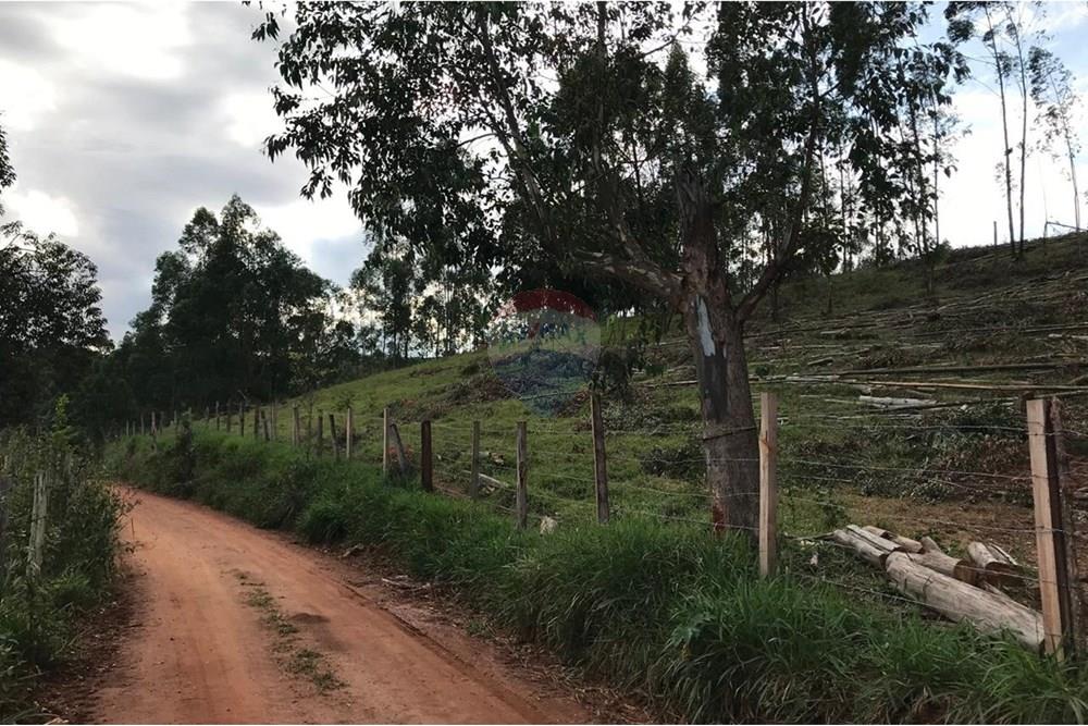 Chácara / Sítio / Fazenda - Venda - Socorro , São Paulo - IMG-20250520-WA0049.jpg - 690291056-39