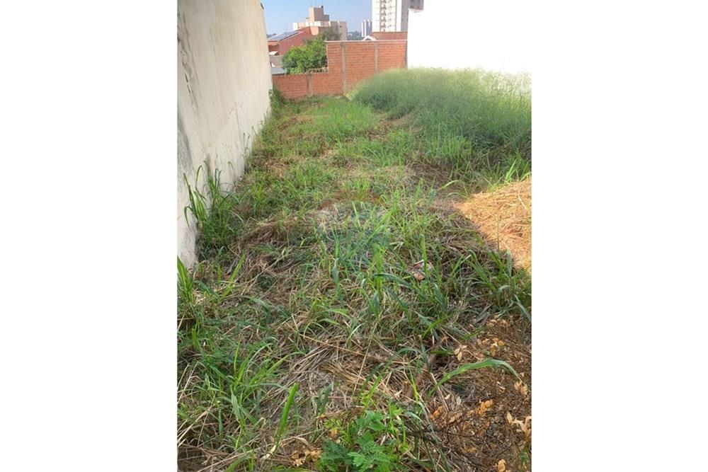 Terreno - Venda - Piracicaba , São Paulo - Nova America.jpg - 690781102-56