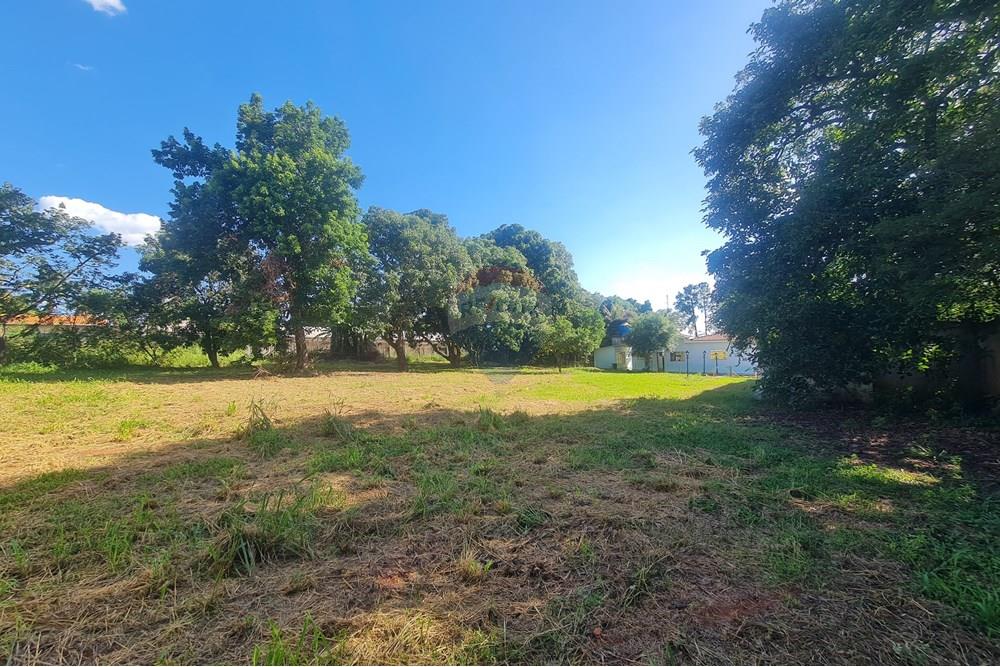 Agro - Alugar - Artur Nogueira , São Paulo - 20251120_160320.jpg - 690671009-93