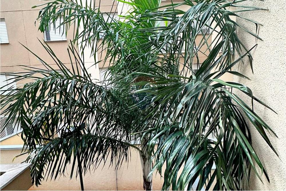 Apartamento - Alugar - Atibaia , São Paulo - 10.jpg - 690921092-17