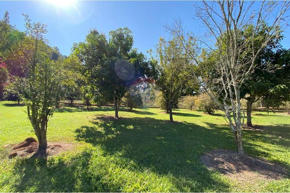 Chácara / Sítio / Fazenda - Venda - Jacutinga , Minas Gerais - WhatsApp Image 2025-08-06 at 14.30.50 (1).jpeg - 690291077-290