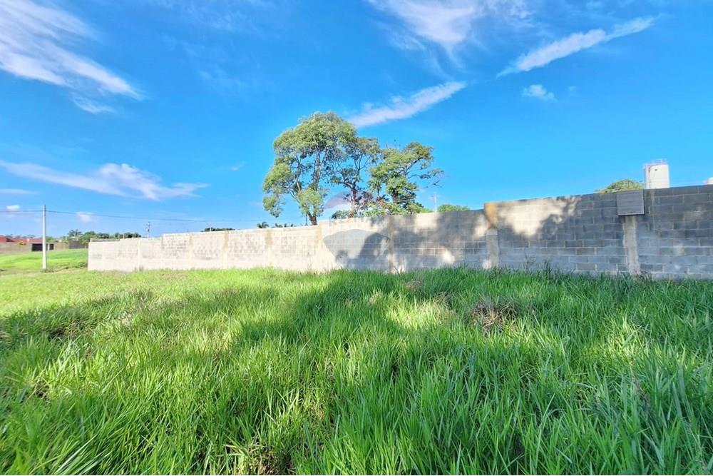 Terreno - Venda - Mogi Mirim , São Paulo - IMG-20241209-WA0035.jpg - 690751048-328