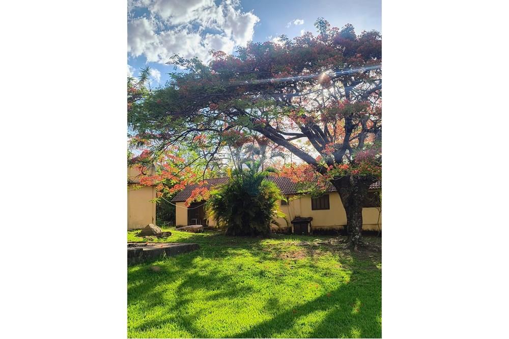 Chácara / Sítio / Fazenda - Venda - Campinas , São Paulo - WhatsApp Image 2025-12-22 at 16.47.46 (2).jpeg - 691181002-33