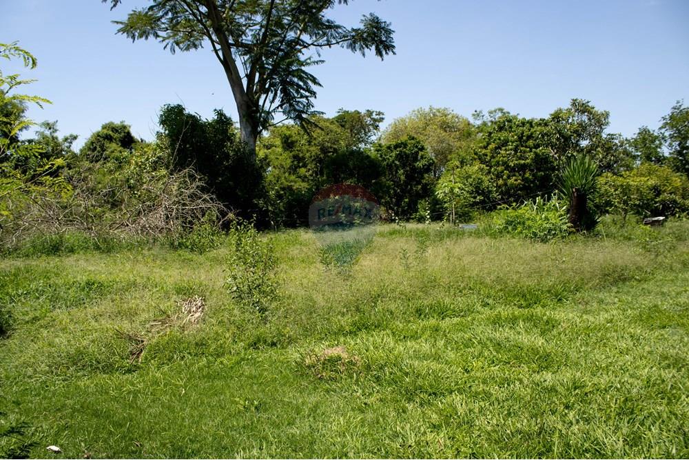 Terreno - Venda - Rio Claro , São Paulo - IMG_0272.jpg - 690811057-57