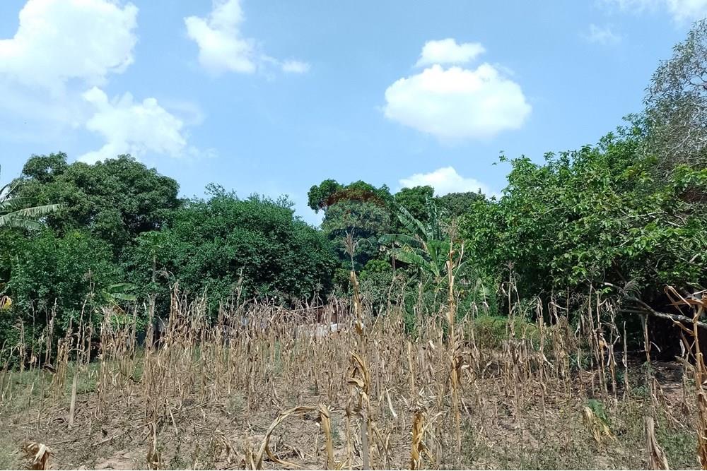 Terreno - Venda - Cosmópolis , São Paulo - fachada (7).jpg - Jardim Interno - 690511357-364