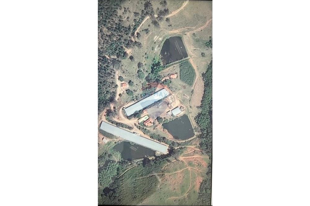 Chácara / Sítio / Fazenda - Venda - Bragança Paulista , São Paulo - IMG-20250728-WA0097.jpg - 690141085-32