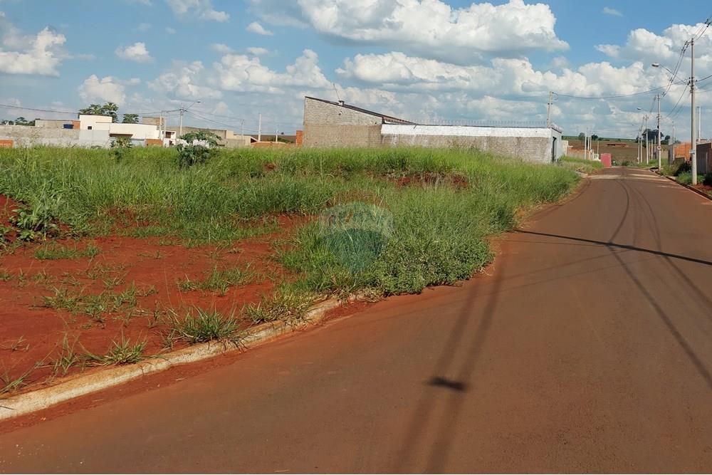 Terreno - Venda - Mogi Guaçu , São Paulo - 20241218_152518 - Copia.jpg - 690521010-257